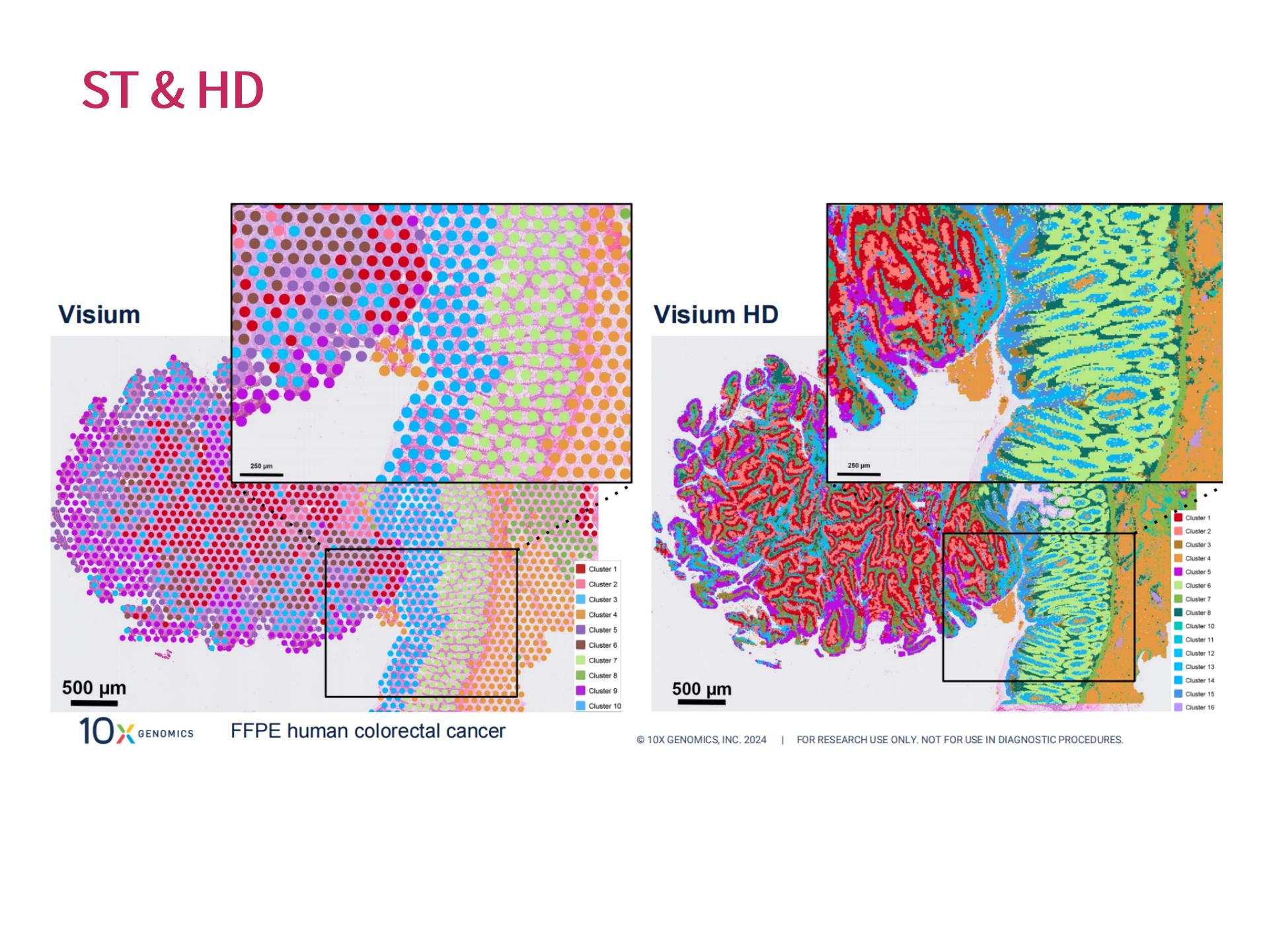 ¹ÙÍø¸öÐÔ»¯ÉúÎïÐÅÏ¢ÆÊÎö (2.25)--_09.jpg