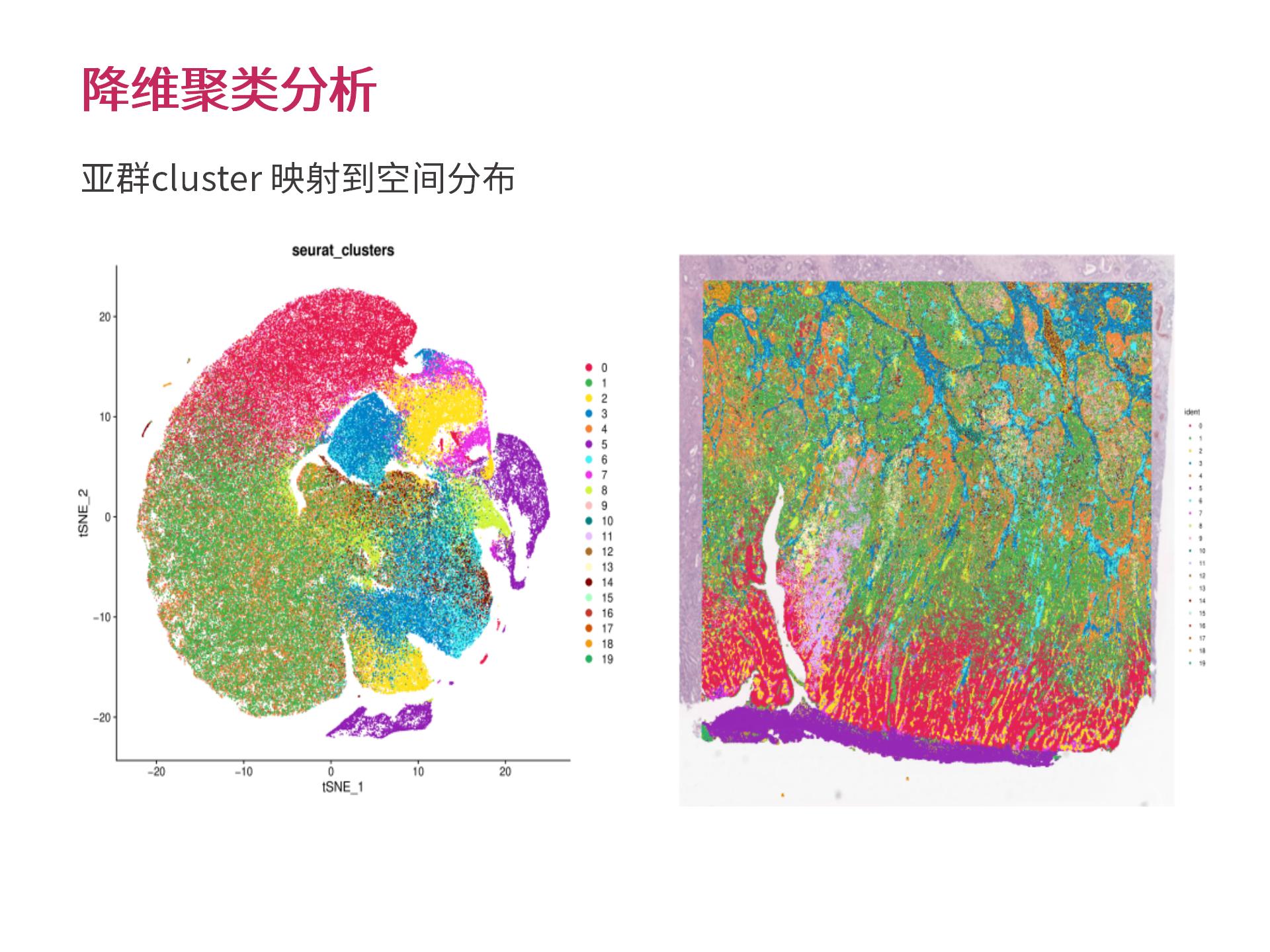 ¹ÙÍø¸öÐÔ»¯ÉúÎïÐÅÏ¢ÆÊÎö (2.25)--_10.jpg